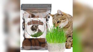 Best Bagged Soil for Growing Grass: Top Nutrient-Rich Picks Reviewed