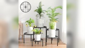 Best Indoor Plant Stand Ideas for Stylish and Functional Home Decor