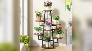 Best Indoor Plant Stands for Multiple Plants