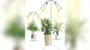 Best Indoor Standing Plants and Essential Grow Lights for Thriving Greens