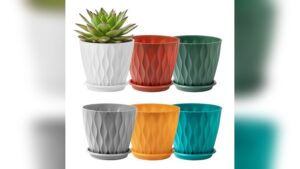 Best Material for Indoor Plant Pots: Durable Plastic with Drainage Benefits