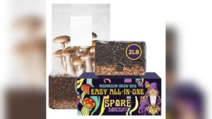 Best Mushroom Grow Bag for Easy, Bountiful Home Mushroom Harvests