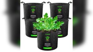 Best Organic Grow Bags for Thriving Vegetables and Fruits Gardening