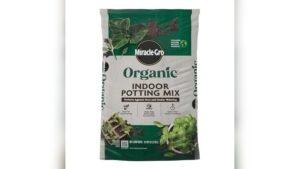 Best Organic Potting Soil for Indoor Plants