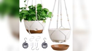 Best Plants for Hanging Planters to Brighten Your Indoor Spaces