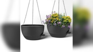 Best Plants for Outdoor Hanging Planters to Beautify Your Garden Space