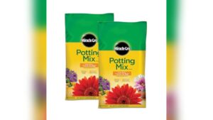 Best Potting Mix Indoor Plants for Thriving Greenery and Easy Care
