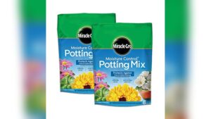Best Potting Soil for Indoor Plants
