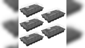 Best Seed Starter Trays With Dome for Easy Indoor Gardening Success