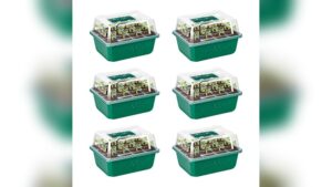 Best Seed Starting Trays With Dome for Healthy Seedlings and Easy Gardening