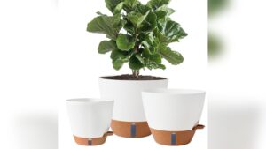 Best Self Water Planter With Stand for Indoor Plants