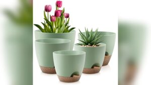 Best Self Watering Pots for Indoor Plants to Keep Them Thriving