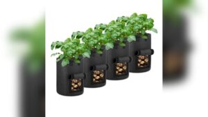 Best Size Grow Bag for Potatoes: Top Durable Options with Harvest Windows