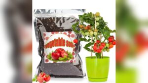 Best Soil for Tomatoes in Grow Bags: Top Organic Mixes Reviewed