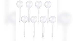 Best Time Watering Plants for Healthier Growth and Easy Care Tips