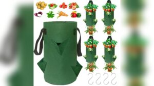 Best Vegetables for Hanging Planters: Top Picks for Your Garden Space