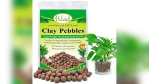 Clay Pebbles for Indoor Plants: Enhance Growth and Drainage Effectively