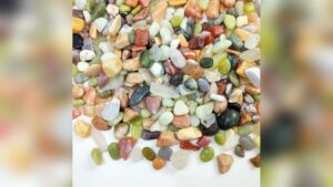 Decorative Pebbles for Indoor Plants: Enhance Your Green Space Beautifully