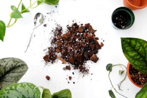 How To Make Chunky Soil For Indoor Plants