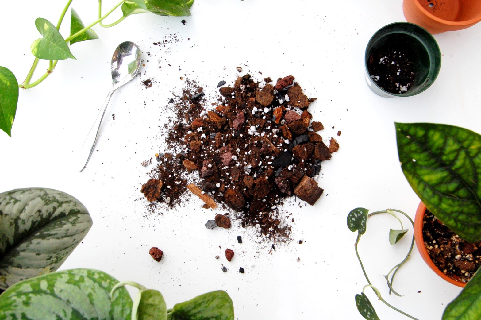 How To Make Chunky Soil For Indoor Plants