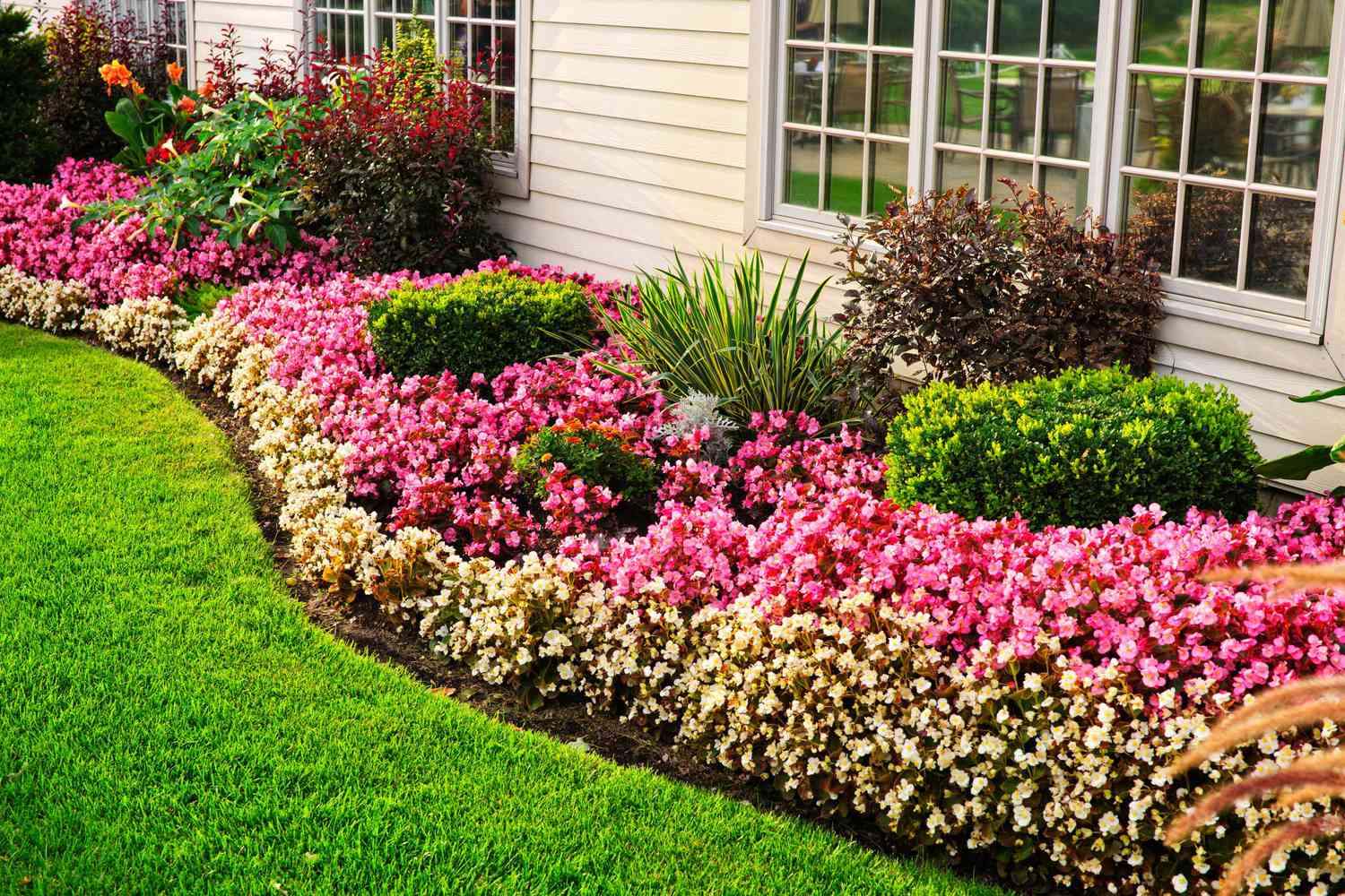 How To Plant Flowers In Front Yard