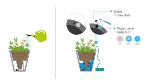 How Does a Self Watering Planter Work