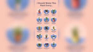 How Often Should Plants Be Watered: Essential Tips for Thriving Greens