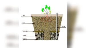 How to Build a Self Watering Planter: Easy DIY Guide for Thriving Plants