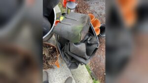 How to Clean Grow Bags: Easy Steps for Fresh, Reusable Bags