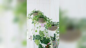 How to Diy Hanging Planters: Easy Steps for Stunning Green Decor