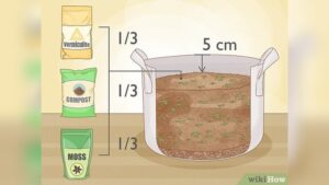How to Fill Grow Bags for Vegetables: Easy Steps for Thriving Plants