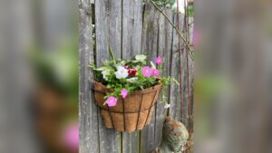 How to Fill Hanging Planters: Easy Steps for Lush, Thriving Greens