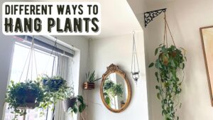 How to Hang Planters: Easy Tips for Stunning Indoor Gardens