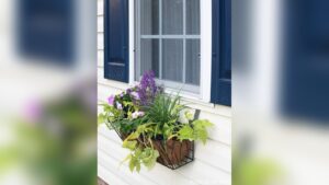 How to Hang Planters on Siding: Easy Steps for Stunning Results