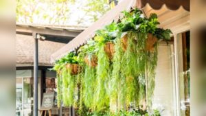 How to Hang Planters Outside: Easy Steps for Stunning Gardens