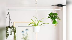 How to Hang Planters Without Drilling: Easy & Damage-Free Tips
