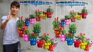 How to Hang Plastic Bottle Planters: Easy Steps for Stunning Gardens