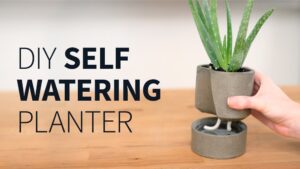 How to Make a Self Watering Planter: Easy DIY Guide for Lush Plants