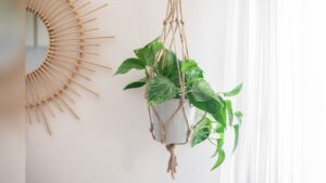 How to Make Hanging Planters: Easy DIY Ideas for Stunning Decor