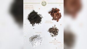 How to Make Potting Soil for Indoor Plants: Easy DIY Guide