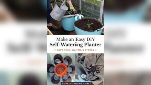 How to Make Self Watering Containers for Plants