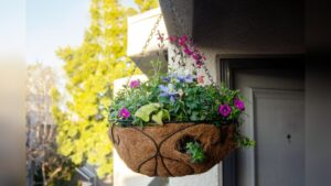How to Plant in Hanging Planters: Easy Steps for Lush Growth