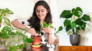 How to Plant Indoor Plants in Pots: Easy Steps for Lush Greenery