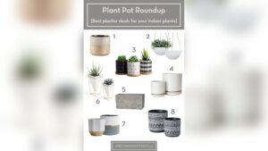 How to Pot a Plant Indoors: Easy Steps for Thriving Greens