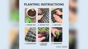 How to Use a Seed Starter Tray​: Ultimate Guide for Thriving Seedlings