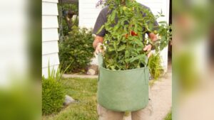 How to Use Grow Bags: Expert Tips for Thriving Plants Fast