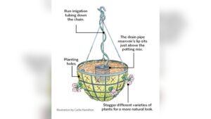 How to Use Hanging Planters: Transform Your Space with Style