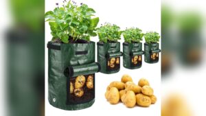 How to Use Potato Grow Bags: Easy Steps for Bountiful Harvests