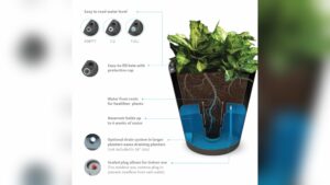 How to Use Self Watering Plant Pots: Easy Tips for Thriving Plants