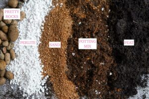 Best Soil Mix For Indoor Plants